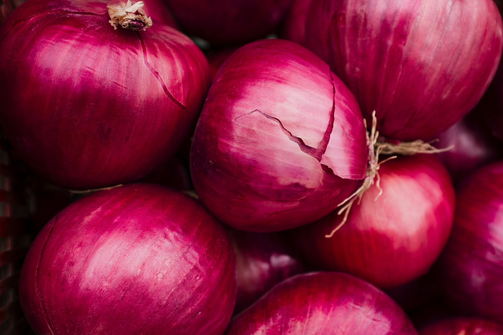 Red Onion Red Onion